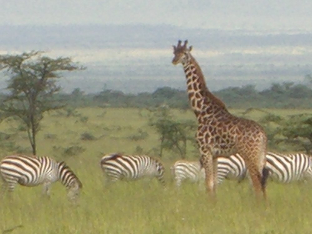 Photo from Kenya, 2007